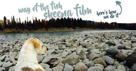 Skeena Spey Steelhead Fishing Lodge | Skeena River Fishing Trips