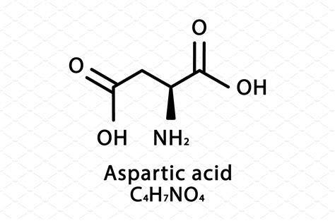 Aspartic acid molecular structure | Vector Graphics ~ Creative Market