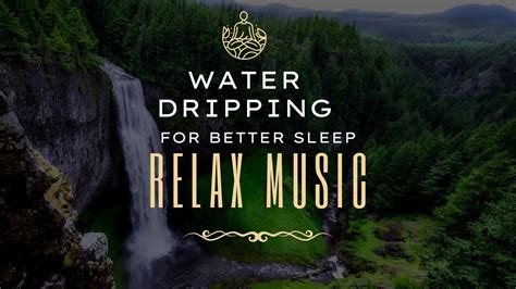 Relaxing Sleep water dripping Music Video - piano | brook | - YouTube