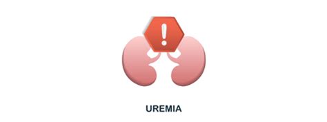 Uremia: Causes, Symptoms And Treatment