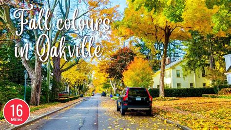 Fall Colours Driving in Oakville Historic Neighbourhood October 2022 ...