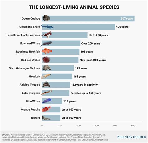 Top 100+ Which animal have the longest lifespan - Merkantilaklubben.org