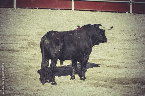 plaza bullfight, traditional Spanish party where a matador fight Stock ...