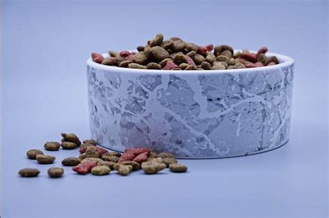 10 Popular Pet Food Brands Usually Referred By Veterinarians | PetCareRx