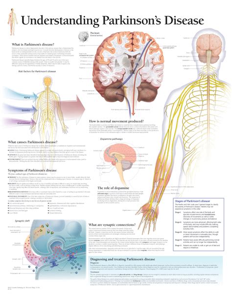 Understanding Parkinson’s Disease | Scientific Publishing