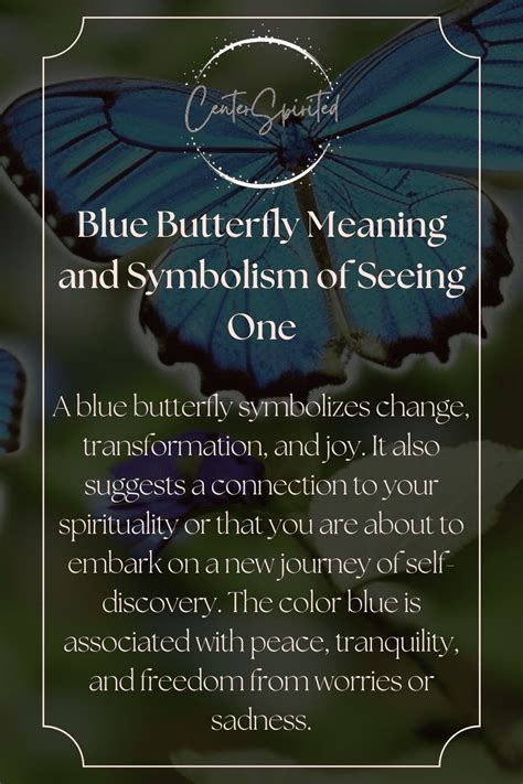 Blue butterfly meaning – Artofit