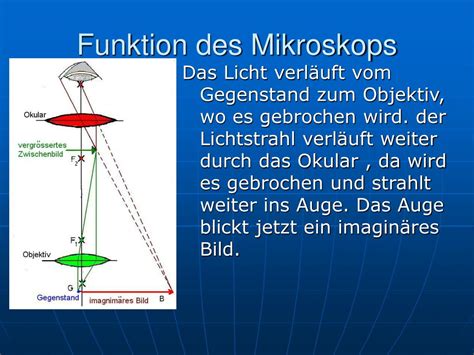 PPT - Das Mikroskop PowerPoint Presentation - ID:629997