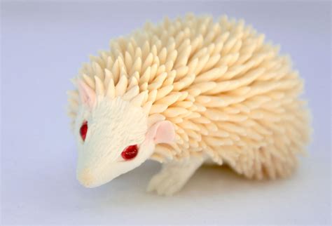 White hedgehog by hontor on DeviantArt