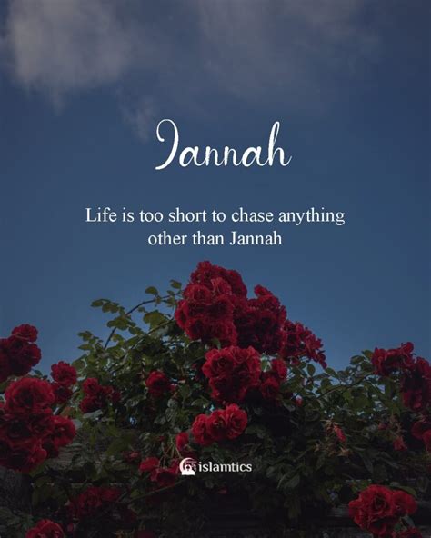 40+ Beautiful Jannah Quotes (with Images) | islamtics