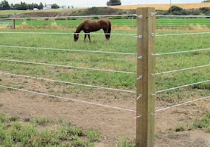 Select Breeders Services - Safe Fencing Options for Horses