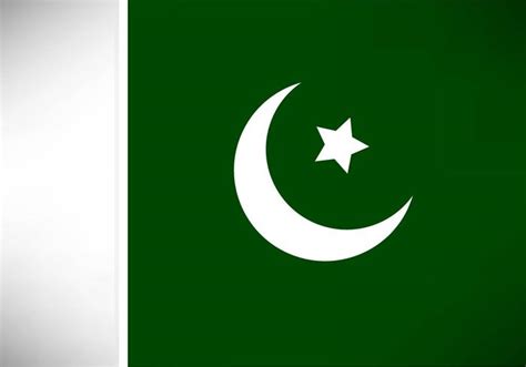 Free Vector Pakistan Flag 114048 Vector Art at Vecteezy