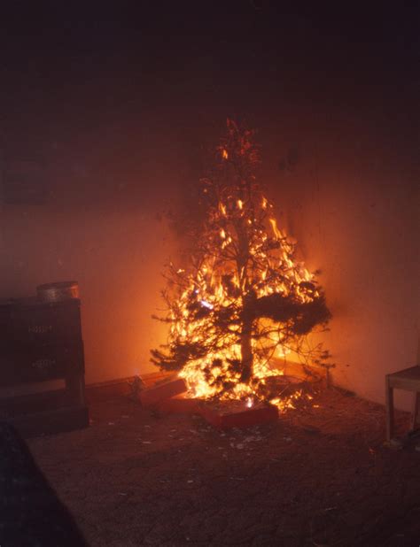 Fire Safety Measures for the Christmas Tree | Northants Fire