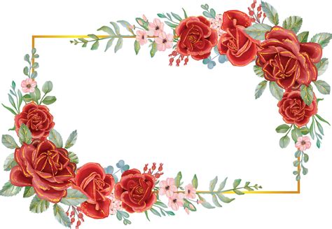 Rose Red with Gold Line Watercolor flower frame. Luxurious flower ...