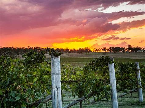 Tara | Southern Queensland Country