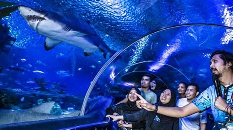 Book KLCC Aquarium Tickets 2021