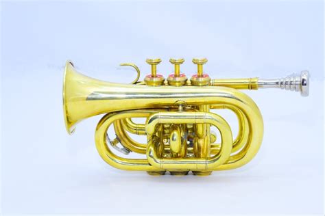 Brass Golden Pocket Trumpet at Rs 3200 in Meerut | ID: 22806245762