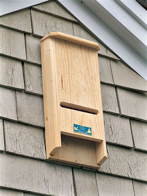 Bat House - Bat Box - Bat-Chelor Pad | Gardeners.com | Bat house, Bat box, Bird house kits