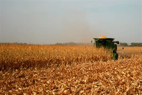 Second Chance Ranch: Corn Harvest