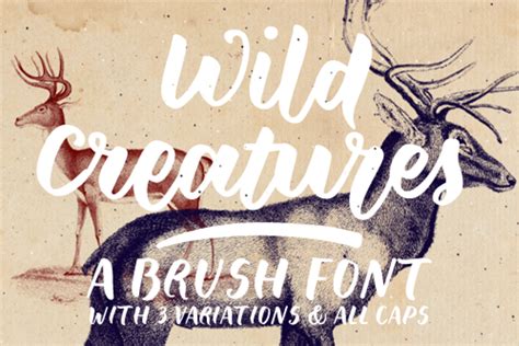 Wild Creatures Sample Font | justlikethistrain | FontSpace