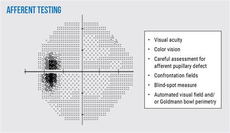 Be Prepared for Papilledema