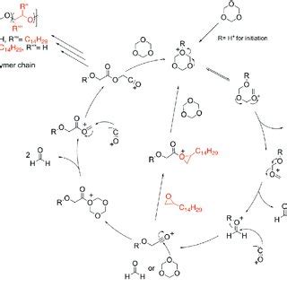 The possible copolymerization mechanism. | Download Scientific Diagram