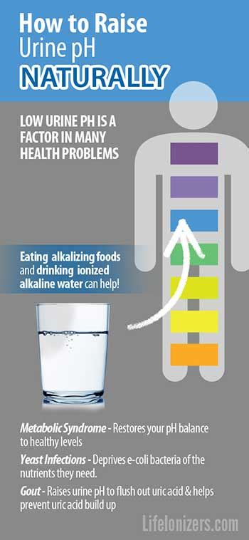 How to Raise Your Urine pH Naturally – Life Ionizers