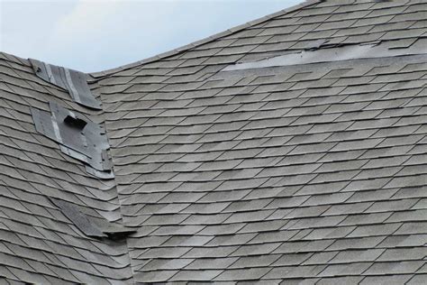 The Usual Suspects (What Does the Most Damage to Your Roof) - Advantage Construction