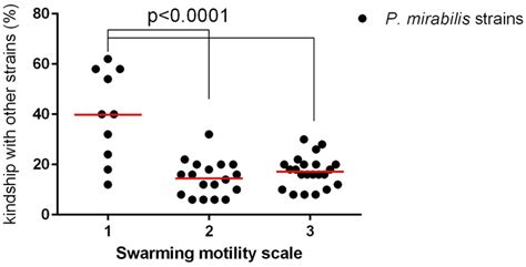 Proteus Mirabilis Swarming Motility