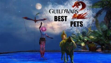 The Best Ranger Pets in Guild Wars 2 (2024) | HGG