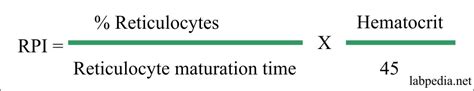 Reticulocyte count (retic count) and interpretations