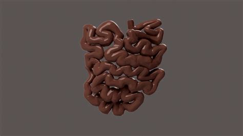 3D file SMALL INTESTINE SEGMENTED 🤏 ・3D print model to download・Cults