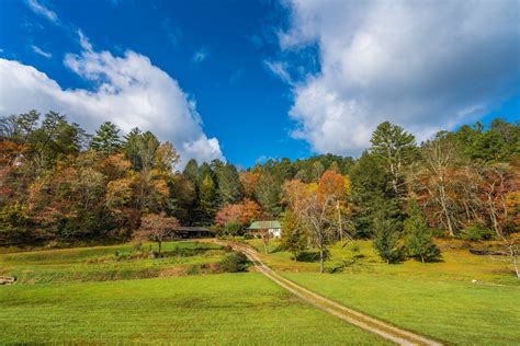 The Blue Ridge Scenic Railway Fall Foliage Train Ride In Georgia ...