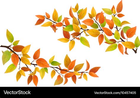 Tree branch with autumn leaves Royalty Free Vector Image