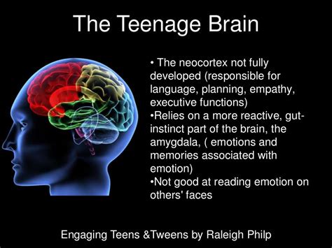 The Teenage Brain • The