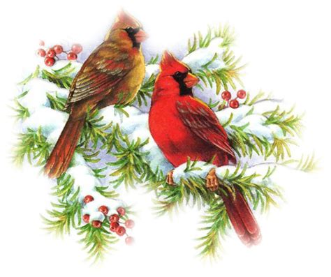 Cardinal Bird Vector Machine Embroidery Designs At Embroidery Library! - musiccandylyrics