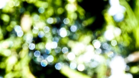 Green Crystal Bokeh Free Stock Photo - Public Domain Pictures