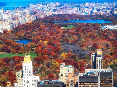 Nyc's central park dressed in peak fall foliage 🍂🍁🍂 what's it look like where you are? tweet us ...
