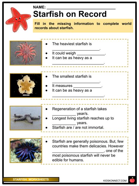 Starfish Life Cycle