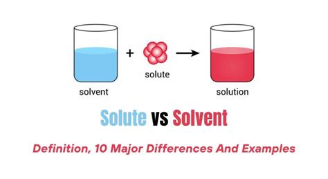 Solute vs Solvent- Definition, 10 Major Differences And Examples - The Students Notes