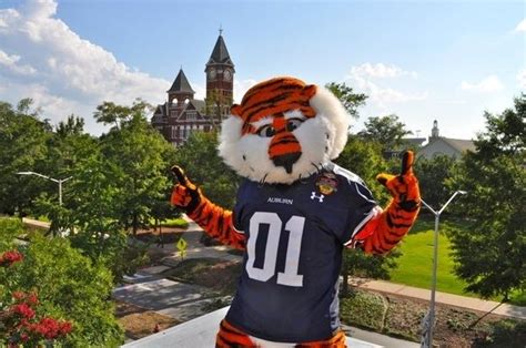 1000+ images about SEC the best mascots on Pinterest