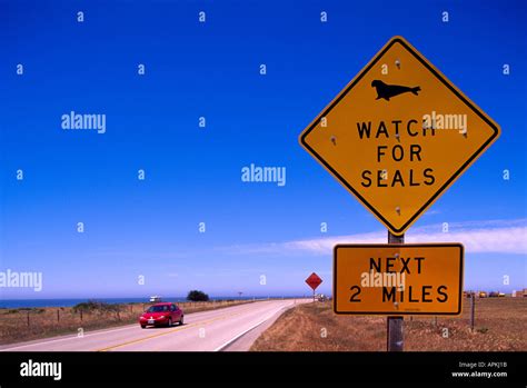 Warning Road Sign, Caution Signs - Seal Crossing on Pacific Coast Stock Photo, Royalty Free ...