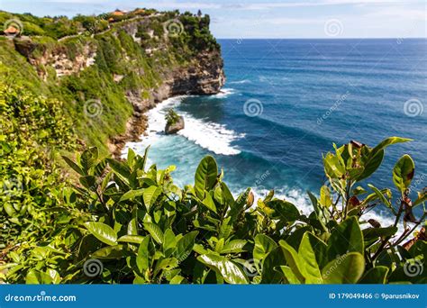 Plants on the Ocean Rocky Shore Stock Photo - Image of mountain, ocean: 179049466