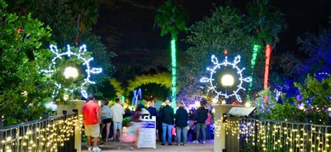 10 Best Things To Do In Florida This Christmas | Trip101