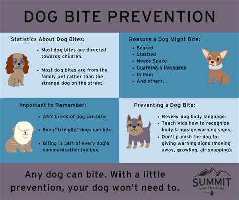 Dog Bite Prevention — Summit Dog Training