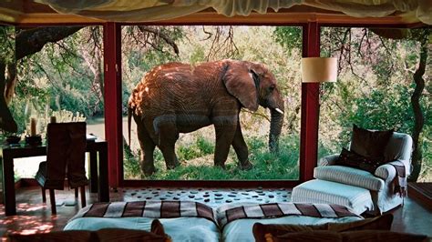 Top 10: most luxurious safari lodges in South Africa - the Luxury Travel Expert