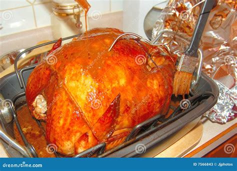 Basting Turkey 4 stock image. Image of oven, cook, baste - 7566843