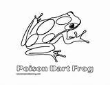 Amphibians Coloring Pages  Nation sketch template