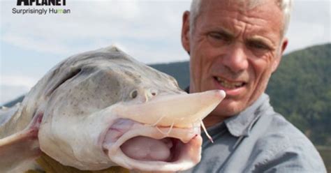 Kaluga Sturgeon | River Monsters Wiki | Fandom