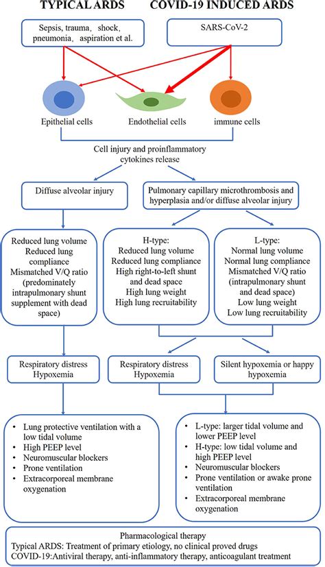 Frontiers | Comparison of COVID-19 Induced Respiratory Failure and Typical ARDS: Similarities ...