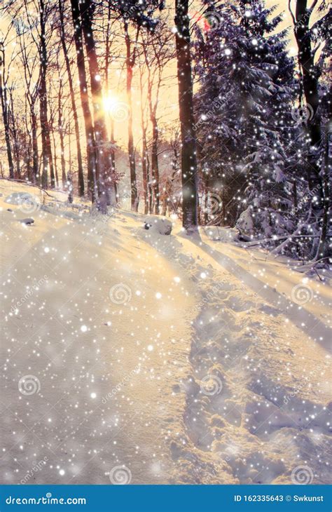 Winter Scenery in Germany with Snowfall and Sunlight. Stock Image - Image of forest, snowfall ...